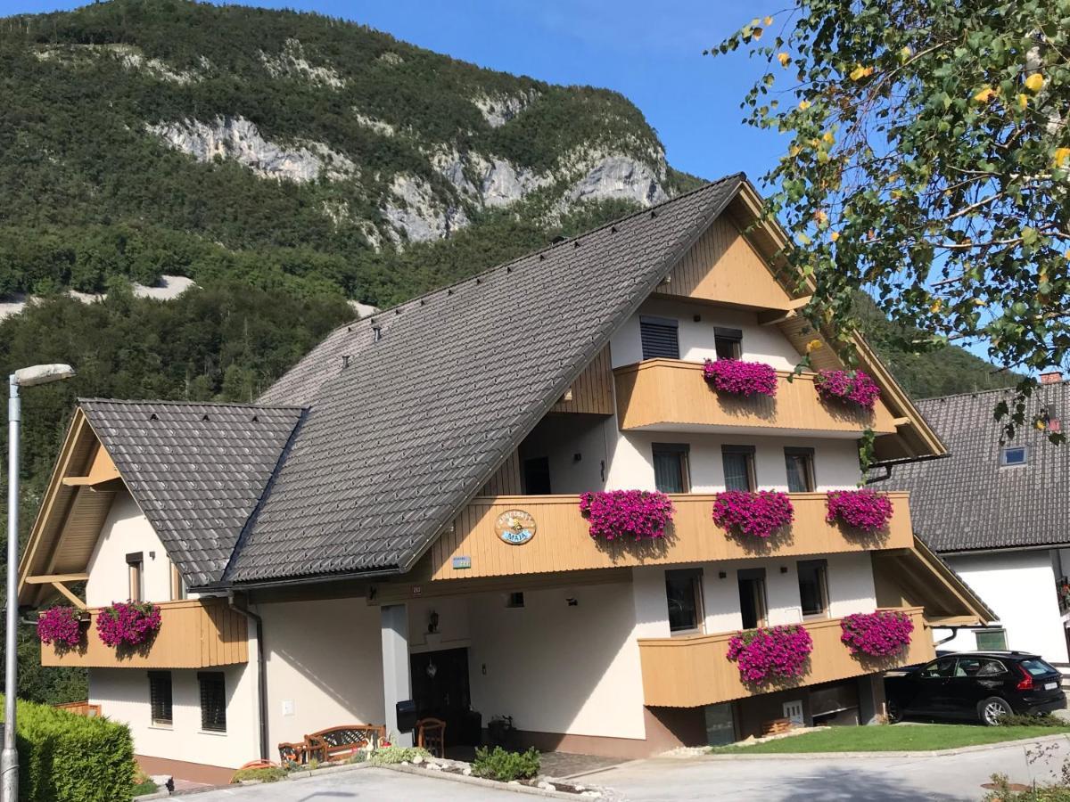 Apartments Maja By The River Bohinj ภายนอก รูปภาพ