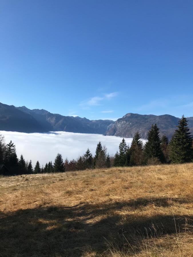 Apartments Maja By The River Bohinj ภายนอก รูปภาพ
